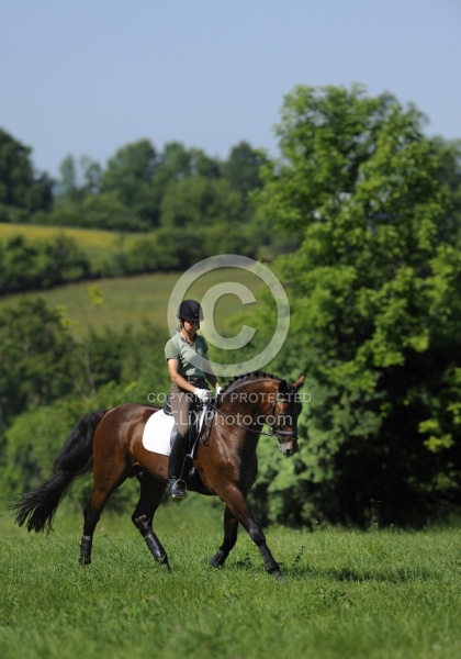 Oldenburg Schooling Dressage Outside of the Arena