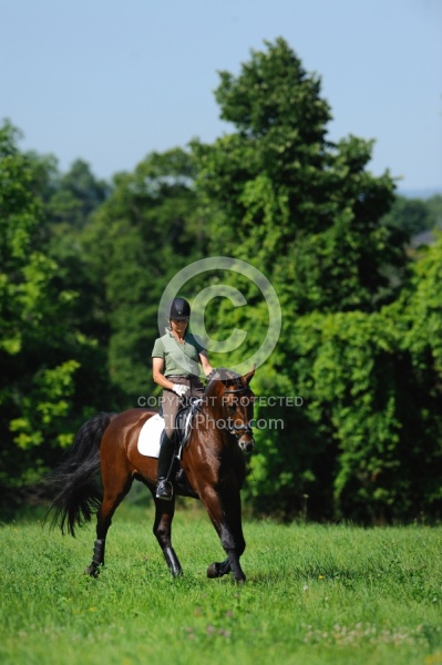Oldenburg Schooling Dressage Outside of the Arena