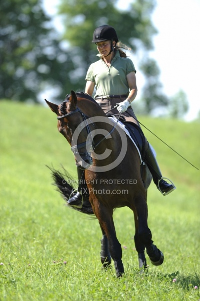 Oldenburg Schooling Dressage Outside of the Arena