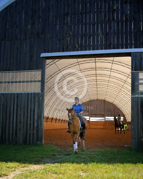 Oldenburg Leaving the Indoor Arena
