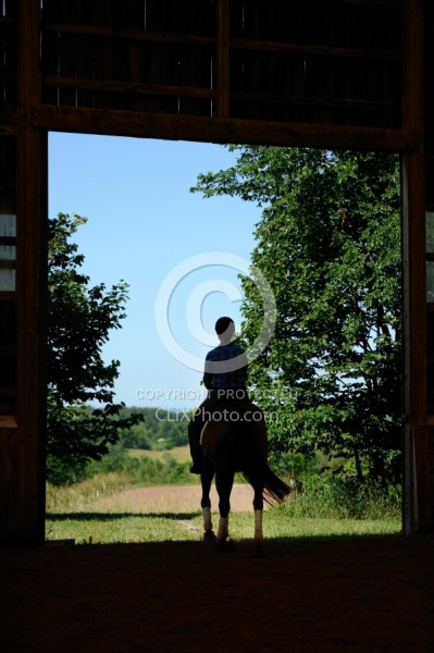 Oldenburg Leaving the Indoor Arena