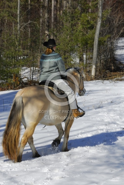 Norwegian Fjord Riding in Winter