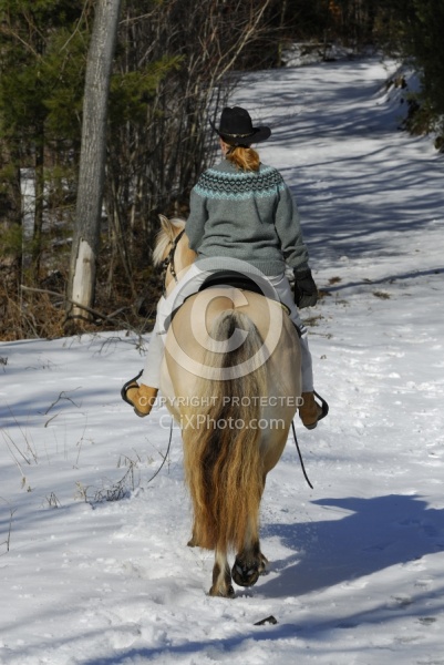 Norwegian Fjord Riding in Winter