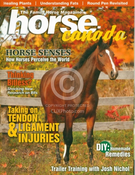 Horse Canada Sept Oct 2012 Cover