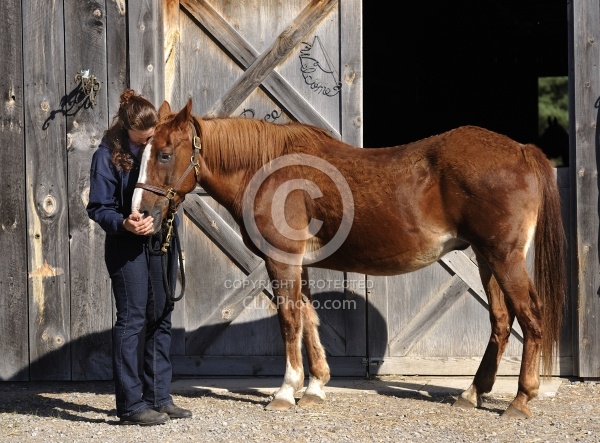 Senior Horse with Owner