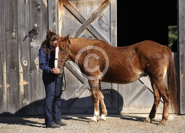 Senior Horse with Owner