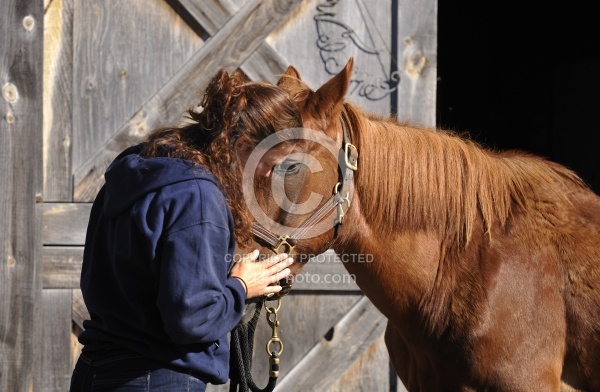 Senior Horse with Owner