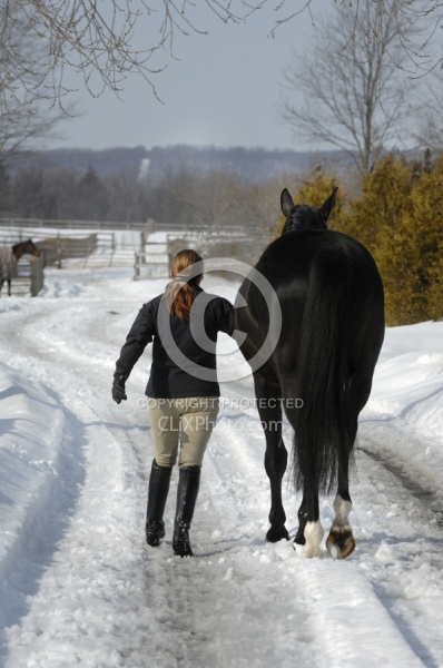 Fallowfield Farms Winter Leading