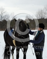 Winter Horse and Human Bond