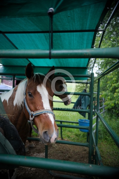 The Covered Stalls at Pure Country Campgrounds Portable Stalls