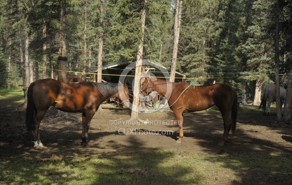 High Lining or Line Tying at Wild Deuces Womens Retreat 