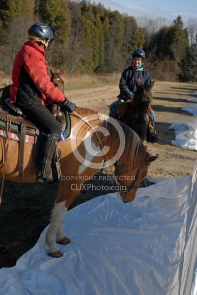 Trail Riding Desensitizing