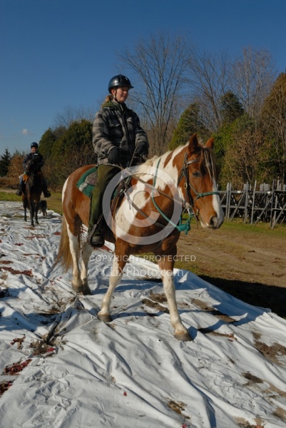 Trail Riding Desensitizing
