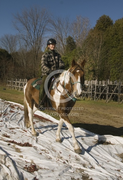 Trail Riding Desensitizing
