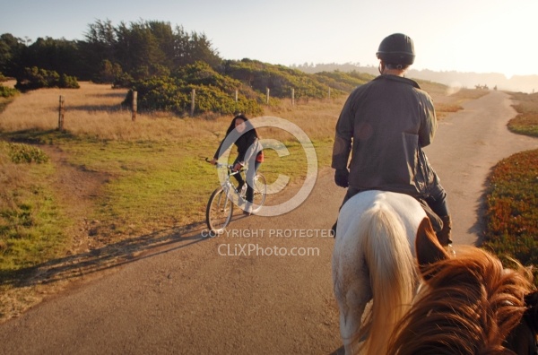 Encounters on the Trail