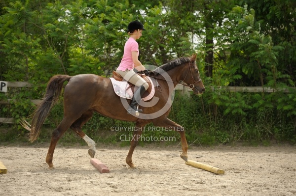 Schooling Over Poles
