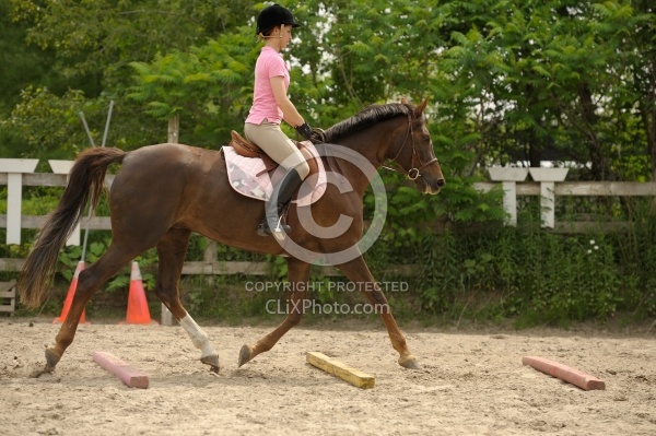 Schooling Over Poles