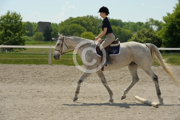 Schooling Over Poles