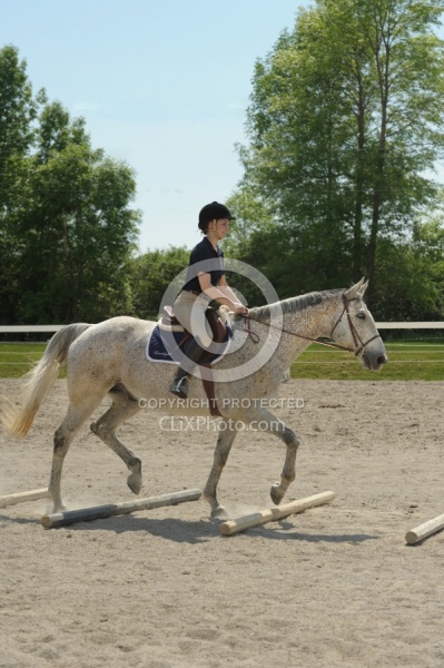 Schooling Over Poles