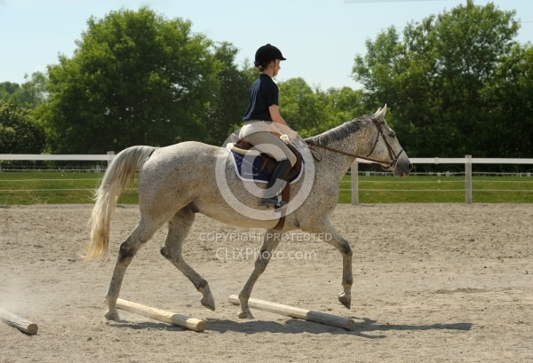 Schooling Over Poles