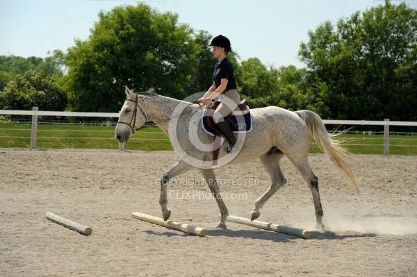 Schooling Over Poles