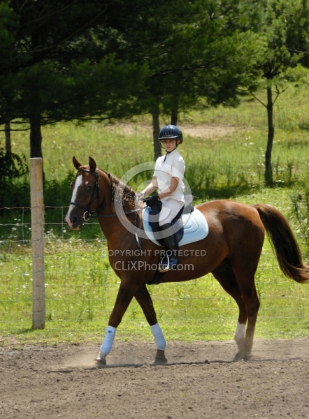 Kids Showing in Schooling Show