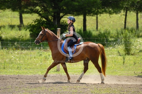 Kids Showing in Schooling Show