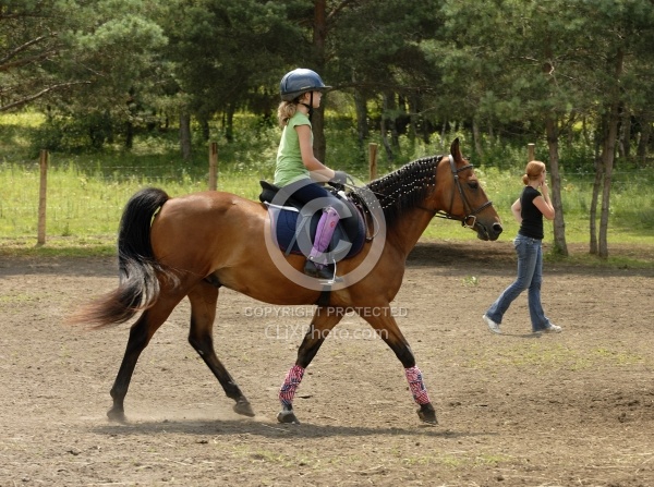 Kids Showing in Schooling Show