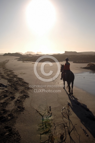 Lari Shea of Ricochet Ridge Ranch riding on the beach