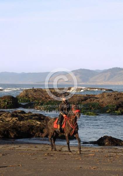 Lari Shea of Ricochet Ridge Ranch riding on the beach