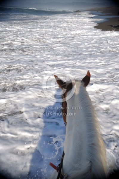 Riding on the Beach at Ricochet Ridge Ranch