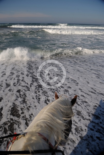 Riding on the Beach at Ricochet Ridge Ranch