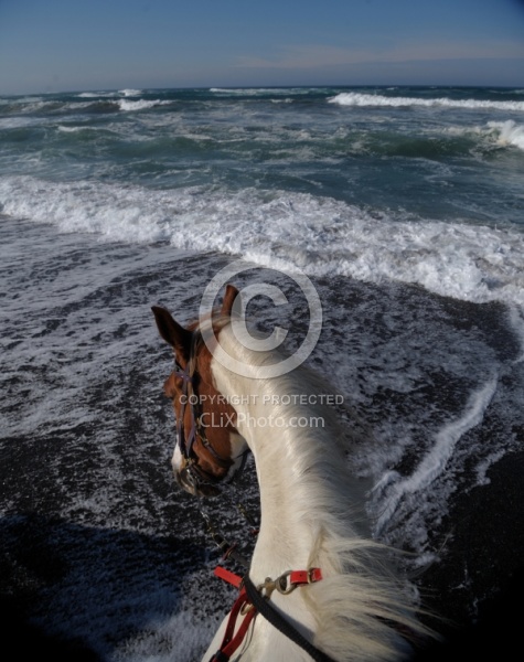 Riding on the Beach at Ricochet Ridge Ranch