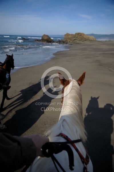 Riding on the Beach at Ricochet Ridge Ranch