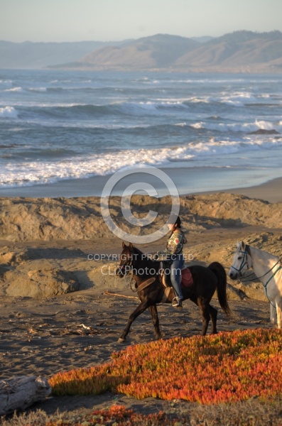 Riding on the beach at Ricochet Ridge Ranch Riding on the beach at Ricochet Ridge Ranch