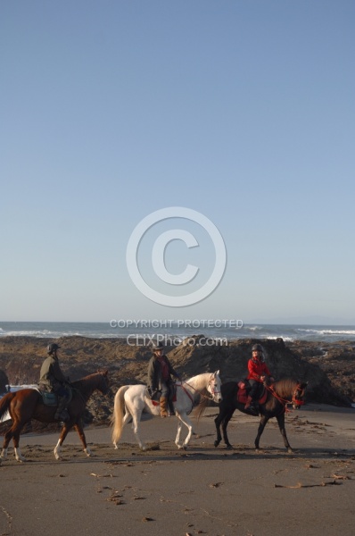 Riding on the beach at Ricochet Ridge Ranch