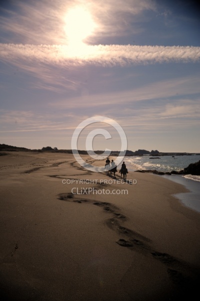 Riding on the beach at Ricochet Ridge Ranch