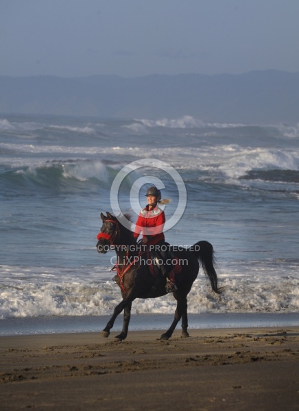 Riding on the beach at Ricochet Ridge Ranch Riding on the Beach at Ricochet Ridge Ranch