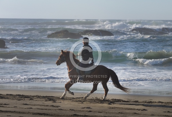 Riding on the beach at Ricochet Ridge Ranch Riding on the Beach at Ricochet Ridge Ranch