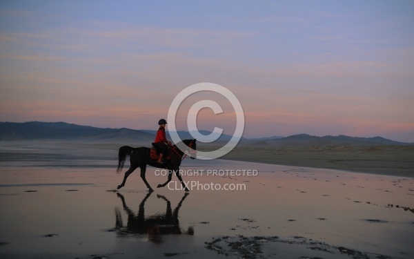 Riding on the beach at Sunset at Ricochet Ridge Ranch