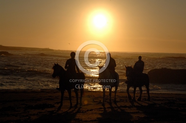 Riding on the beach at Sunset at Ricochet Ridge Ranch