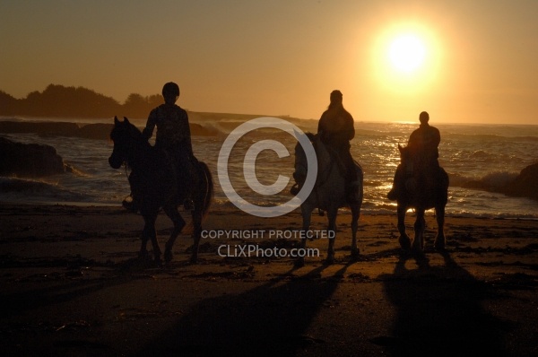 Riding on the beach at Sunset at Ricochet Ridge Ranch