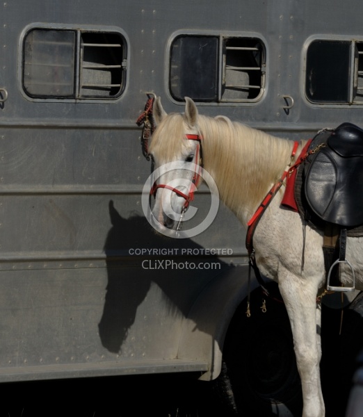 Ricochet Ridge Ranch
