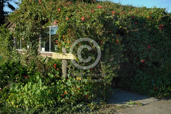 Ricochet Ridge Ranch Office