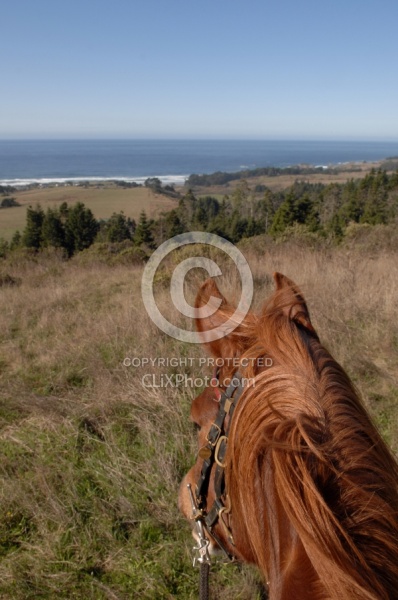 Riding at Simcha with Ricochet Ridge Ranch