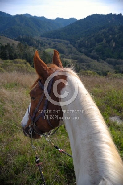 Riding at Simcha with Ricochet Ridge Ranch