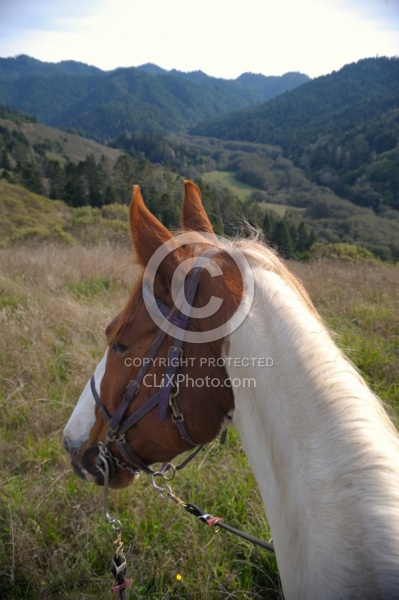 Riding at Simcha with Ricochet Ridge Ranch