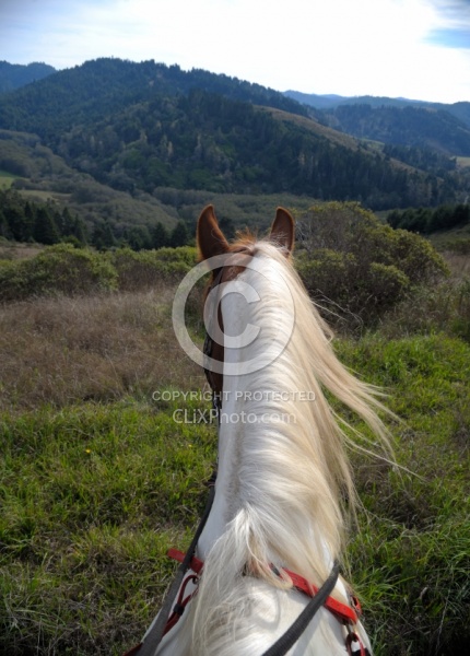 Riding at Simcha with Ricochet Ridge Ranch