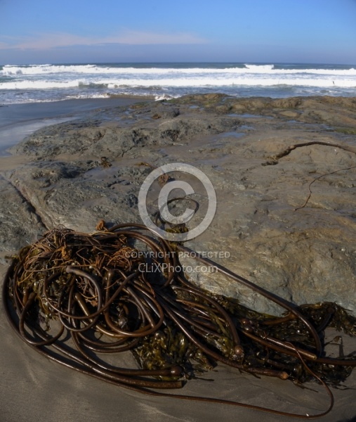 Ricochet Ranch Scenery at Ricochet Ridge Ranch