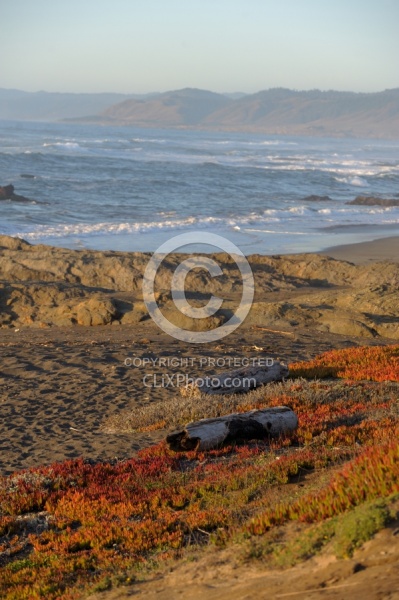 Ricochet Ranch Scenery at Ricochet Ridge Ranch
